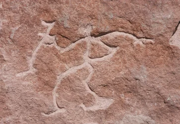Pona Petroglyphs on the Cliffs by the Loa River